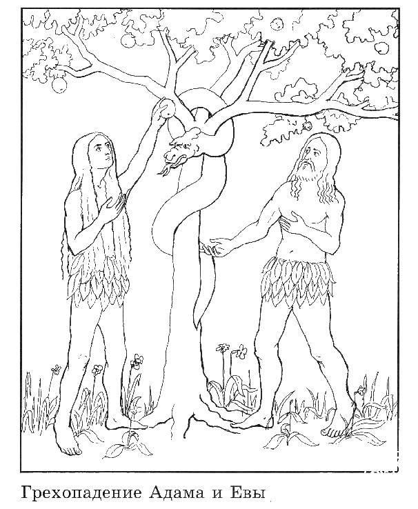 Раскраска на тему религии Адам и Ева (Адам, Ева, земля)