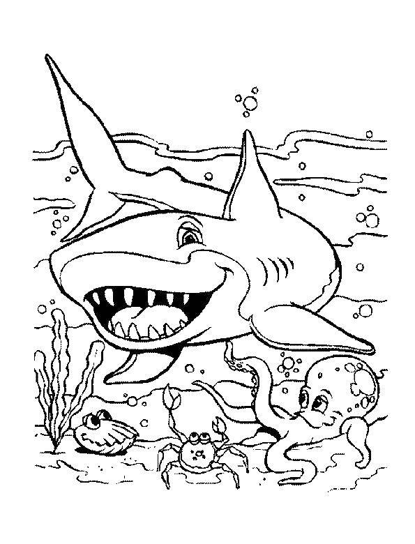 Раскраска с акулой (акула, животные)