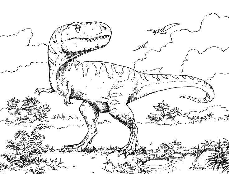 Раскраски динозавра аллозавра для детей. Развивайте воображение и творческие способности! (Динозавр, Аллозавр, Развивающие)