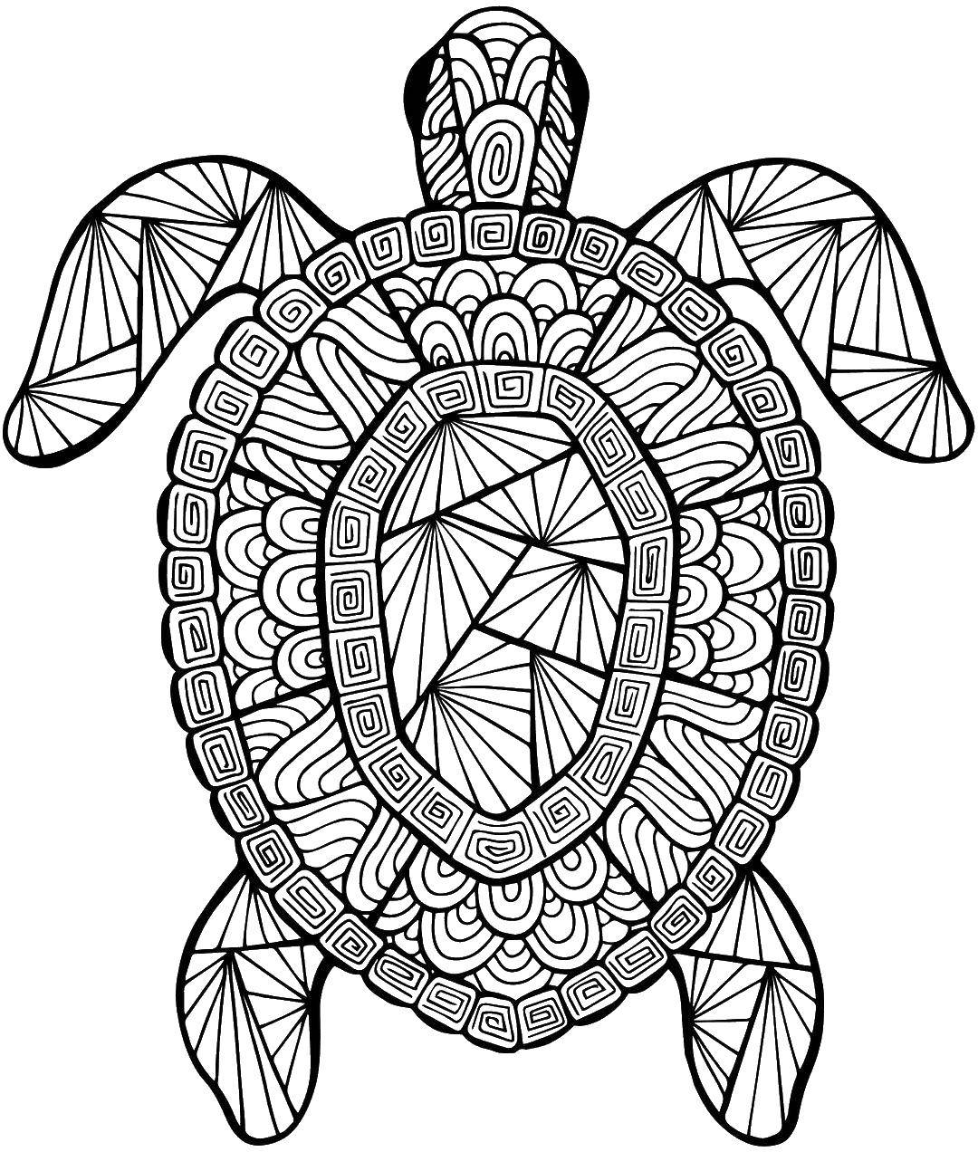 Раскраски с черепахами, узорами и другими антистрессовыми изображениями - бесплатно на нашем сайте (черепаха)
