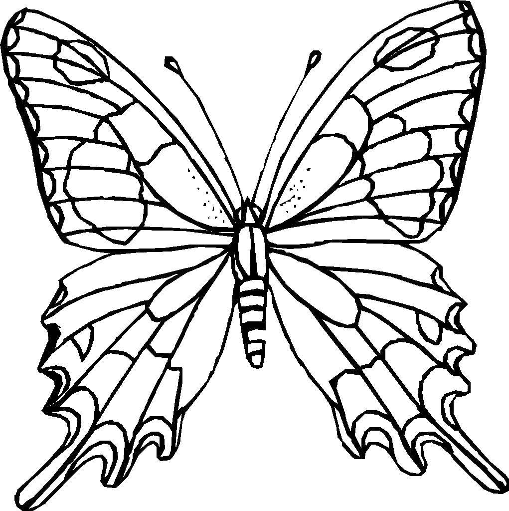 Раскраска бабочки для детей (бабочки)