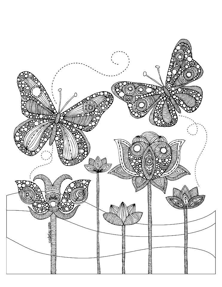 Раскраски антистресс с бабочками и другими узорами для расслабления и творчества (бабочки)