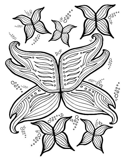 Раскраска на тему насекомых: крылья бабочки, жуки, мухи и другие. (развивающие, интересные)