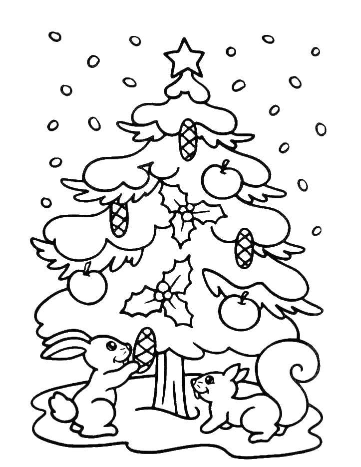 Раскраски елки БЕЛКИ (снег)