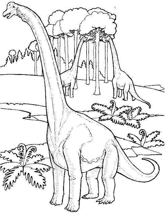Раскраска Брахиозавра из парка юрского периода для детей (парк)
