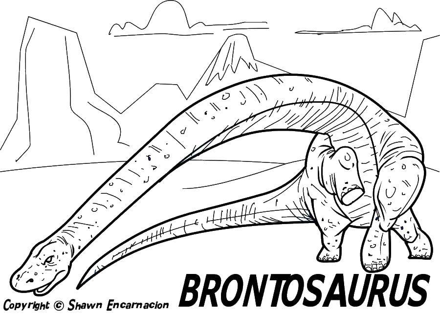 Бесплатные раскраски динозавров для детей - скачайте и раскрасьте картинки