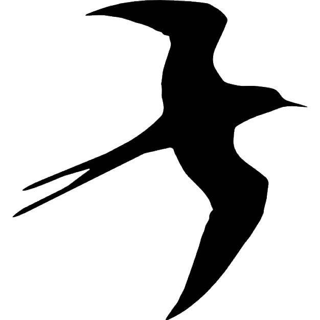 Контуры для вырезания птиц ласточки и других (птицы, ласточки, контуры)