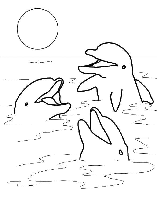 Раскраски Подводный мир и дельфин для детей - развивающая и интересная занятость (дельфин)