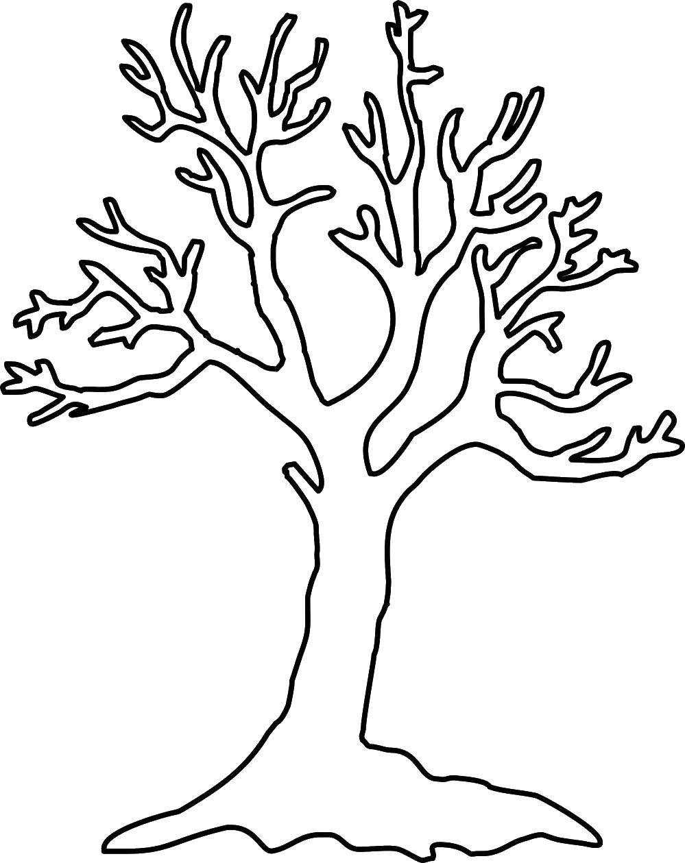 Раскраска дерева для детей (деревья)