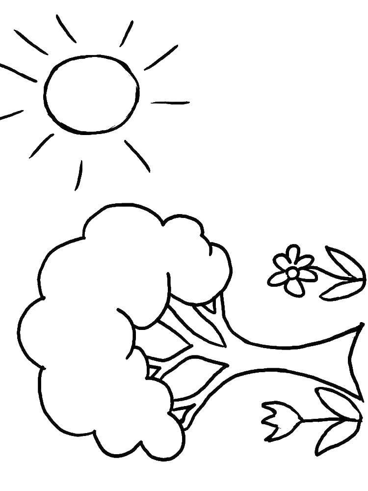 Раскраски на тему весны, деревьев и солнца для детей и взрослых (дерево, солнце)