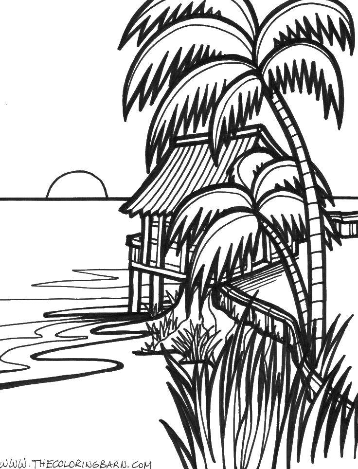 Раскраски с пейзажами пляжа, пальм и моря (море)
