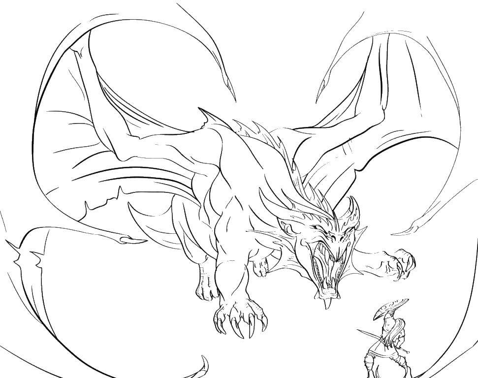 Раскраска дракона и рыцаря на белом фоне (драконы)
