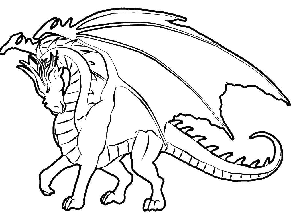 Раскраска с изображением Драконов для детей (Драконы)