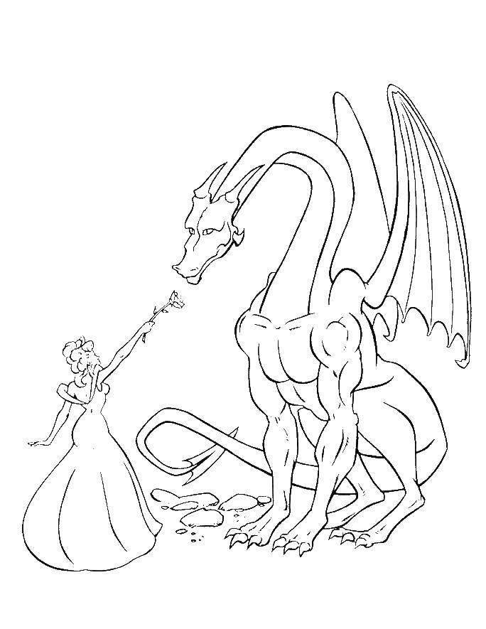Раскраски с драконами для детей и взрослых