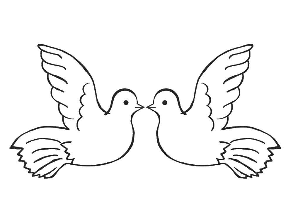 Раскраска с птицами: голуби, птица (птицы, птица)