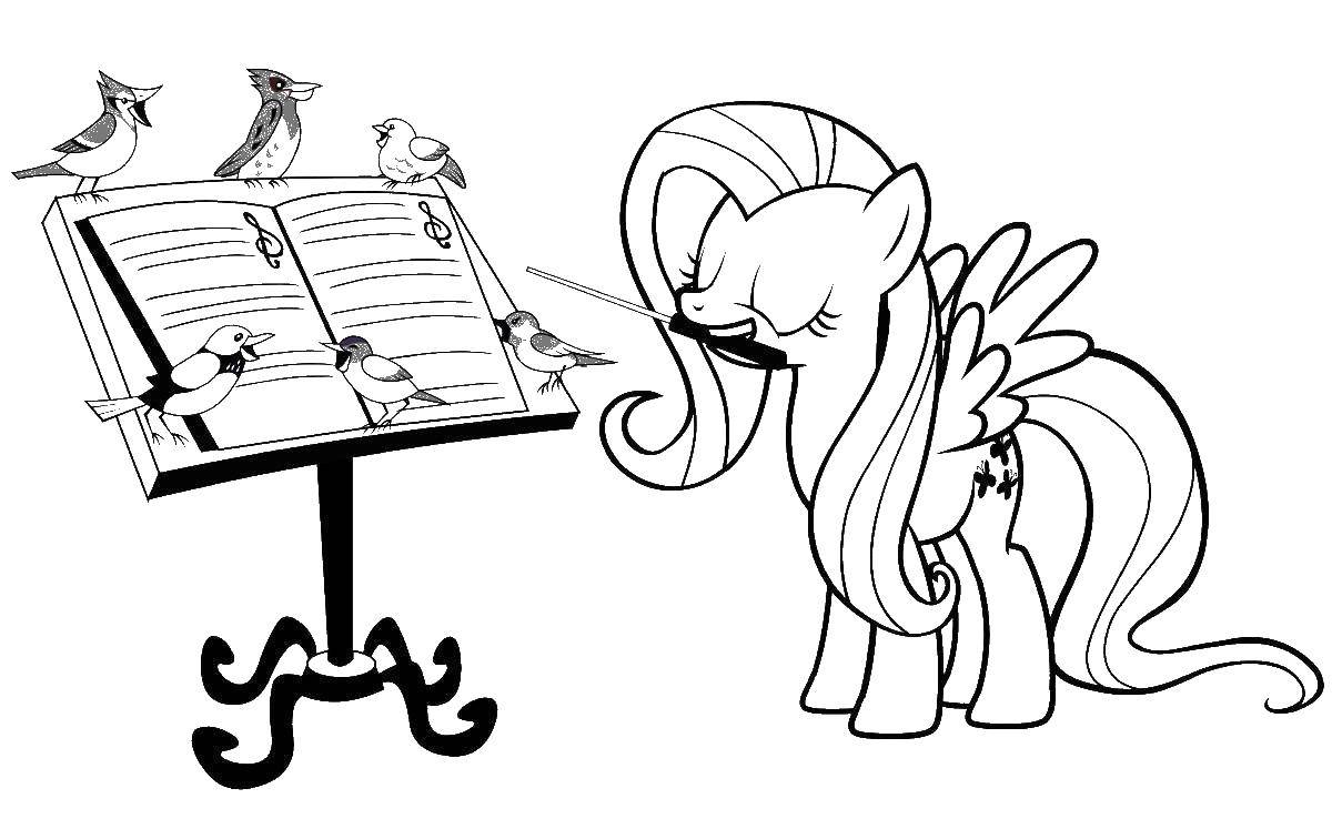 Раскраска моего маленького пони Пони Флаттершай для девочек (флаттершай)