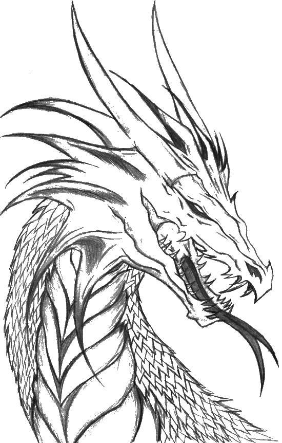 Раскраска дракона с головой и языком (голова, язык)