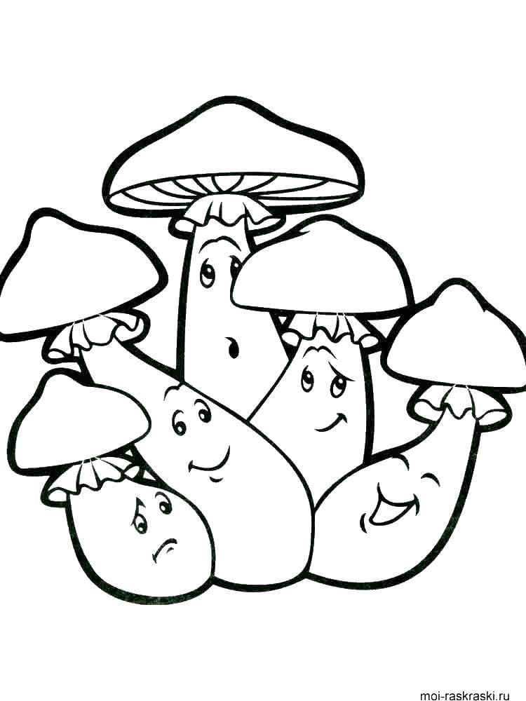 Красивые раскраски с грибами для детей разных возрастов