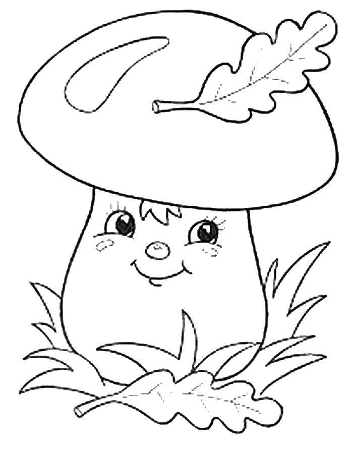 Раскраска грибов, листьев и растений для детей (грибы, листья, растения)