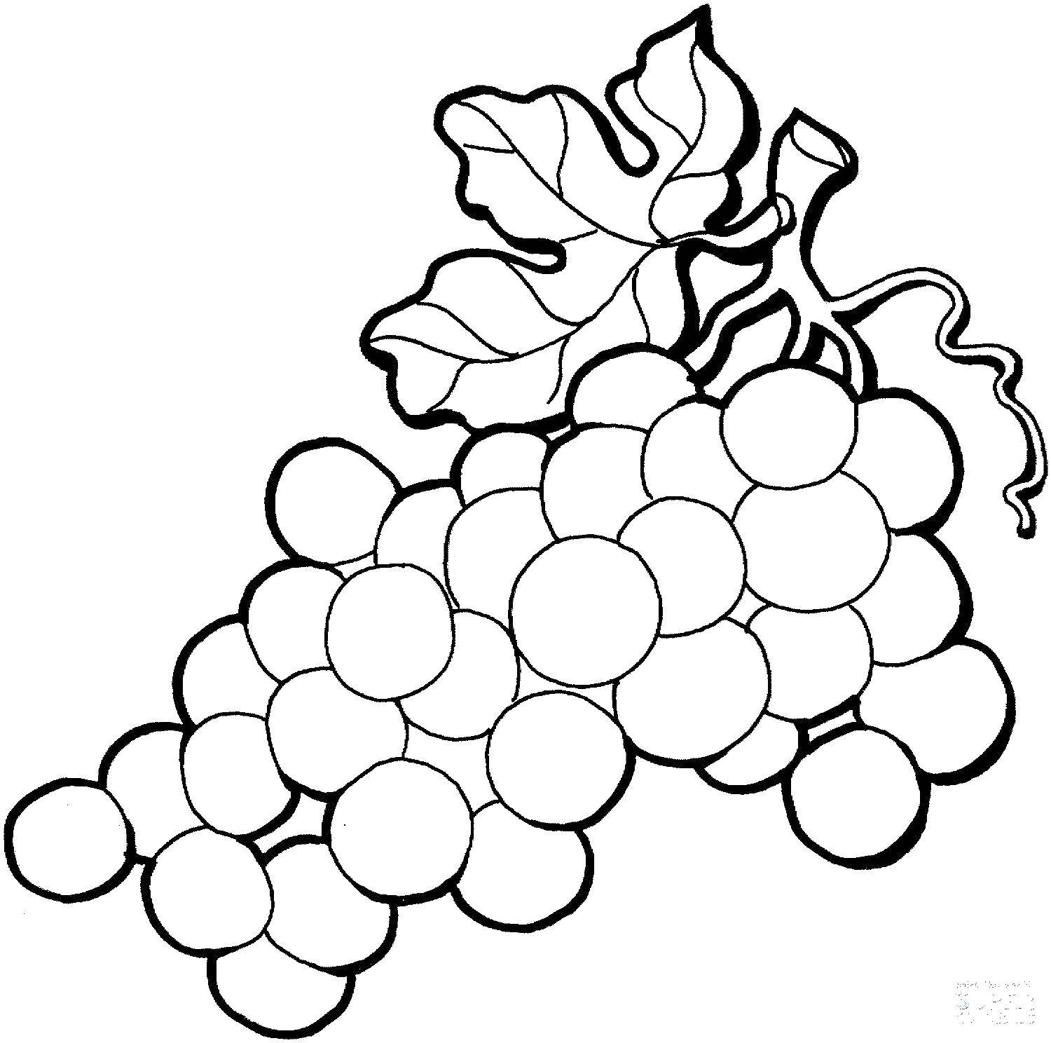 Раскраска виноград Ягоды (виноград, Ягоды)