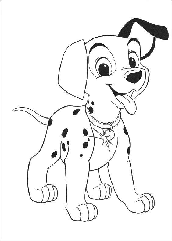Раскраска собаки и собачек для детей (собачки, собака)