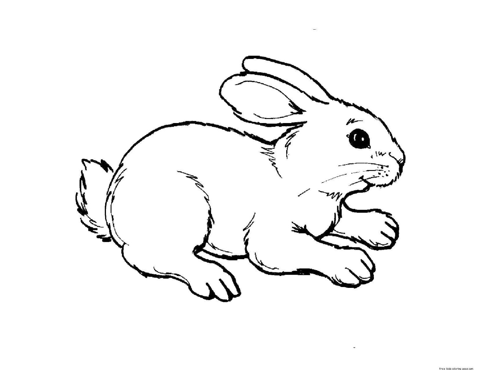 Раскраска с изображением зайчика и других диких животных (животные, зайчик)