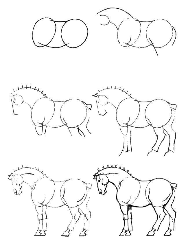 Раскраска лошади (лошади, поэтапно, инструкции)
