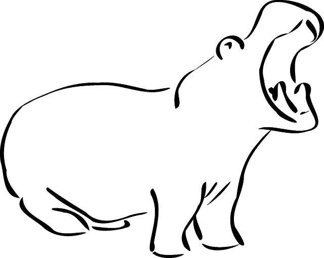 Раскраска контуров животных: бегемот (контуры, бегемот)