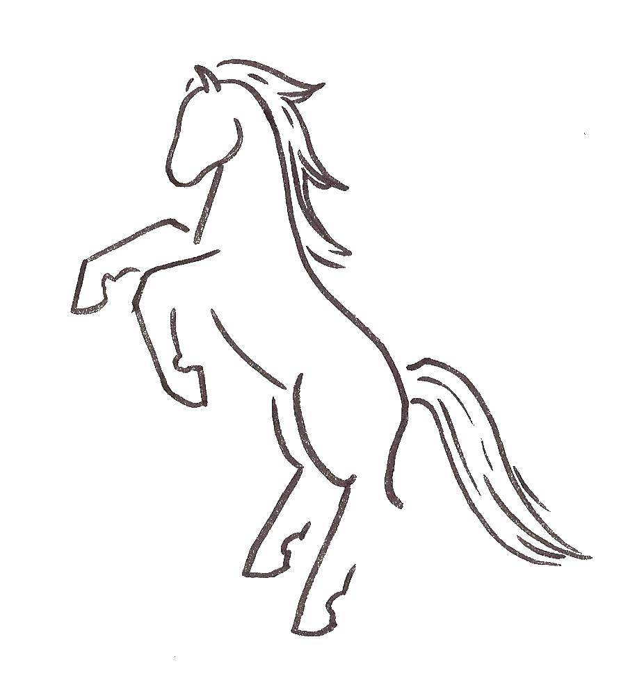 Раскраски лошадей: контуры и полные изображения для детей всех возрастов (лошадь, контуры)