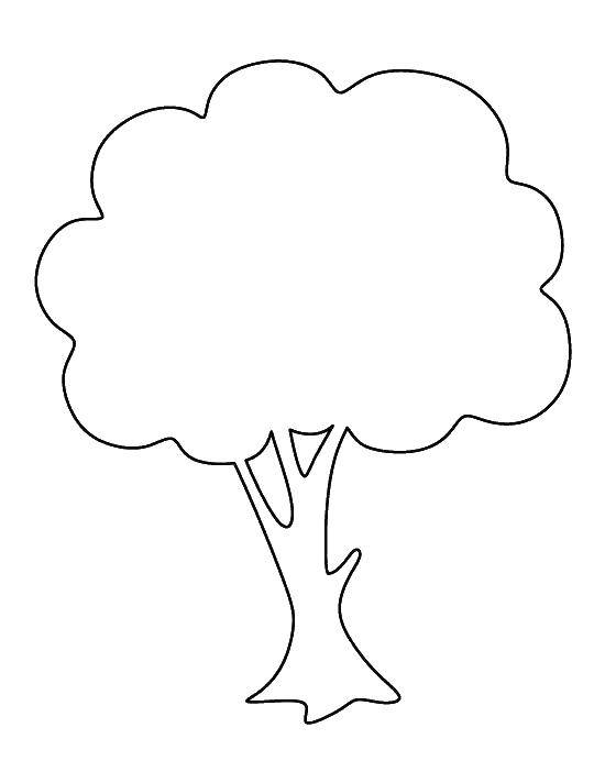 Раскраска Семейное дерево для детей (дерево)
