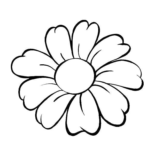 Раскраски контуры цветка для вырезания контур, ромашка - бесплатные скачать и распечатать онлайн (ромашка)