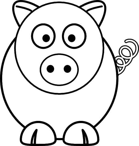 Раскраска свиньи из сказки Три поросенка (контур, развивающая)