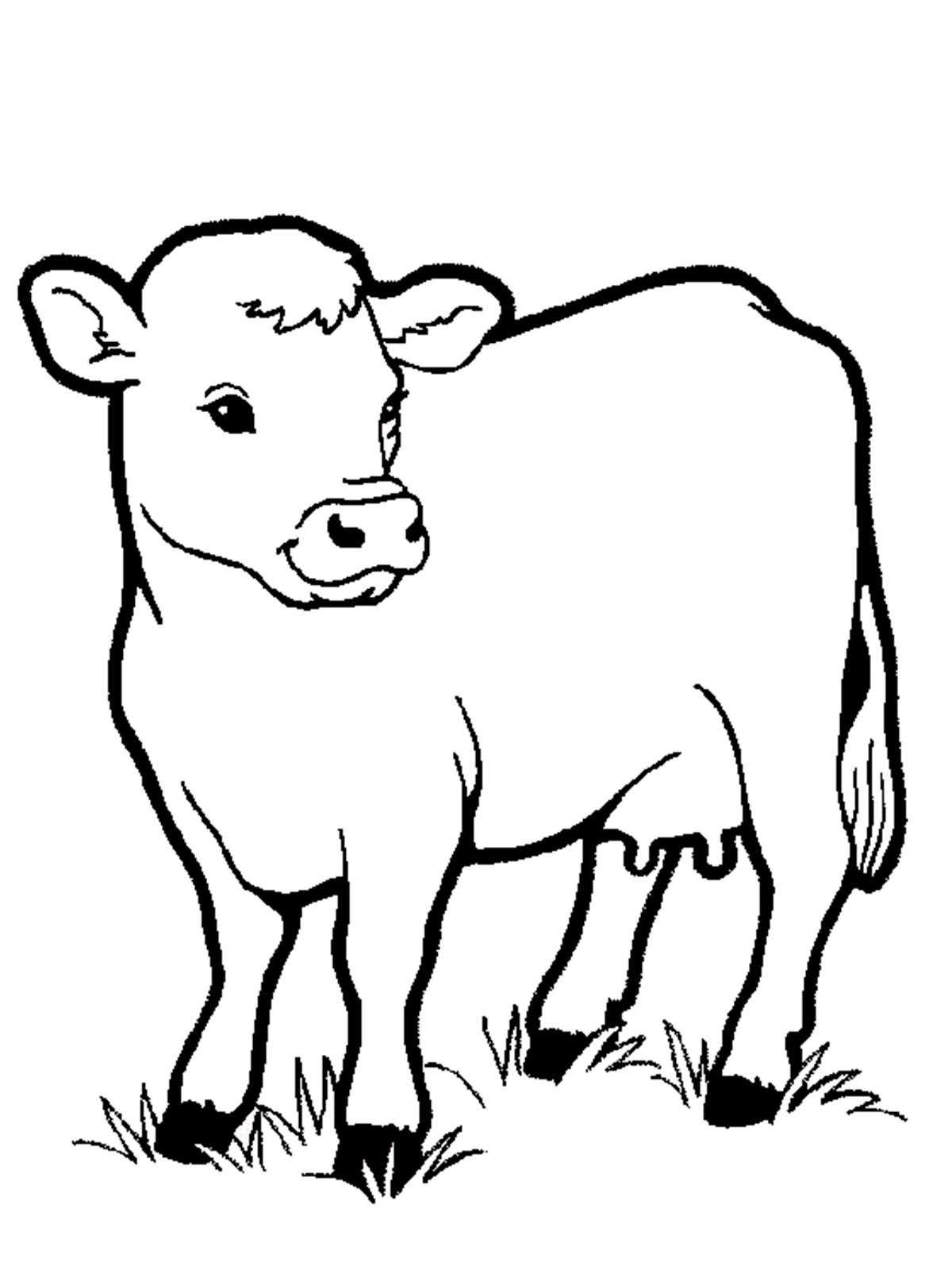 Раскраска домашней коровы на лугу (корова, луг, животные)
