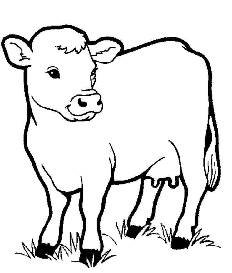 Раскраска домашней коровы для детей (корова)