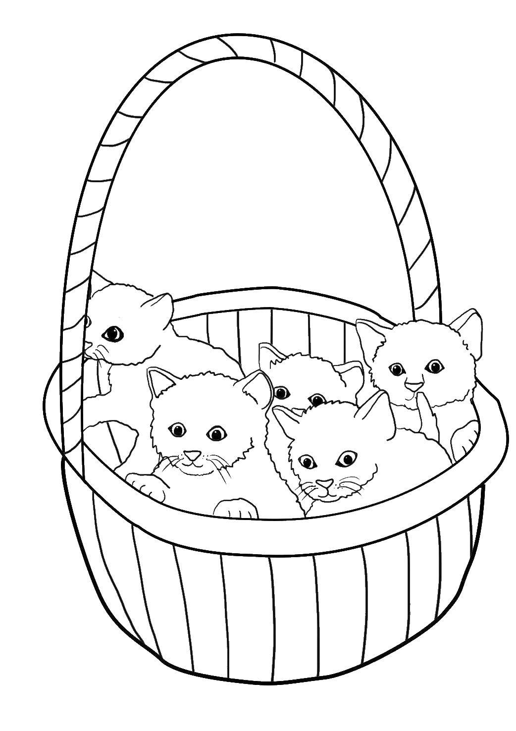Раскраски для детей с котами и котятами, животными и корзинкой (коты, котята, корзинка)