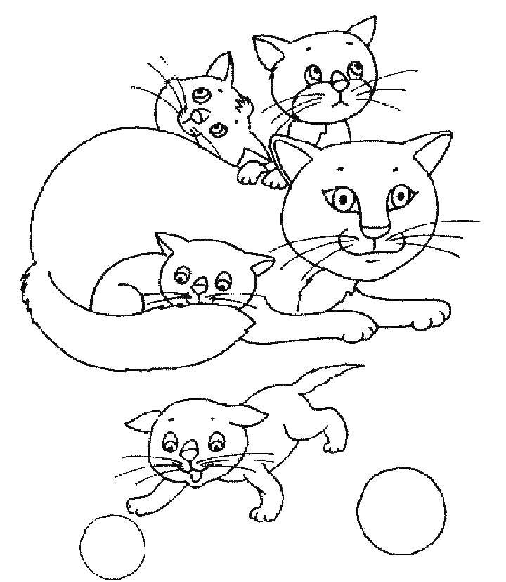 Раскраска милой кошки (котята)