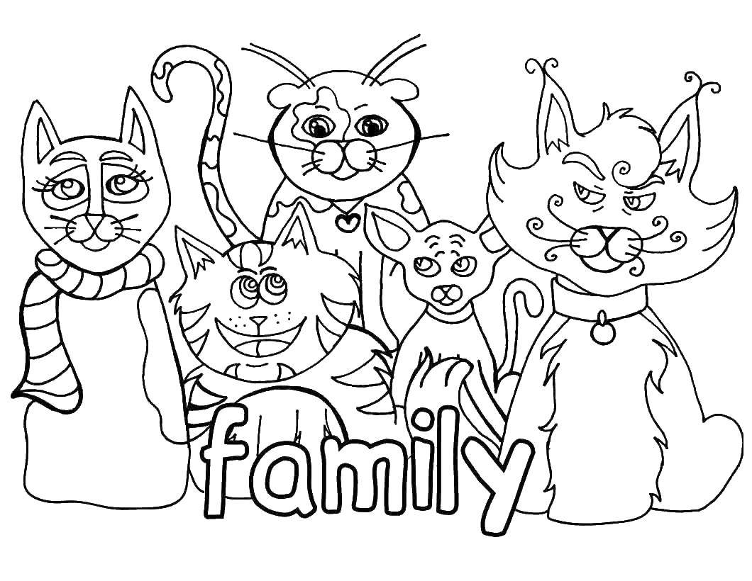 Раскраска милых животных кошка, котята для детей (котята, развивающие, интересные)