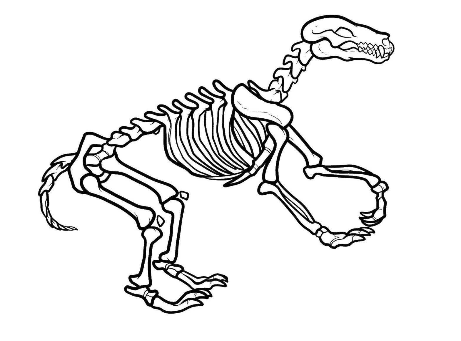 Раскраска динозавра и костей (Кости)