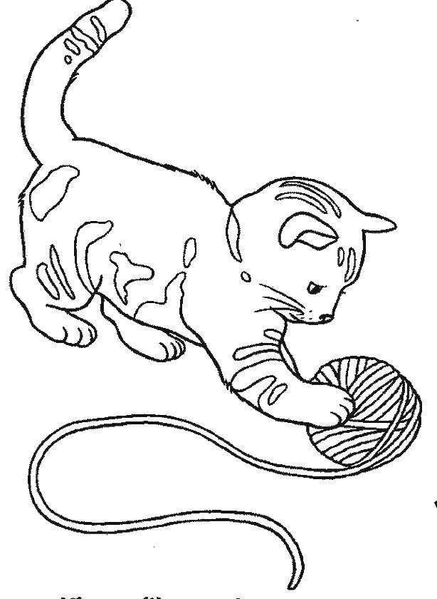 Раскраски с котятами и кошками для детей (котята)