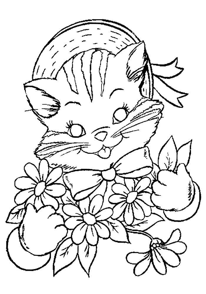 Раскраски с котятами и щенками - бесплатно для детей на сайте (котята, щенки)