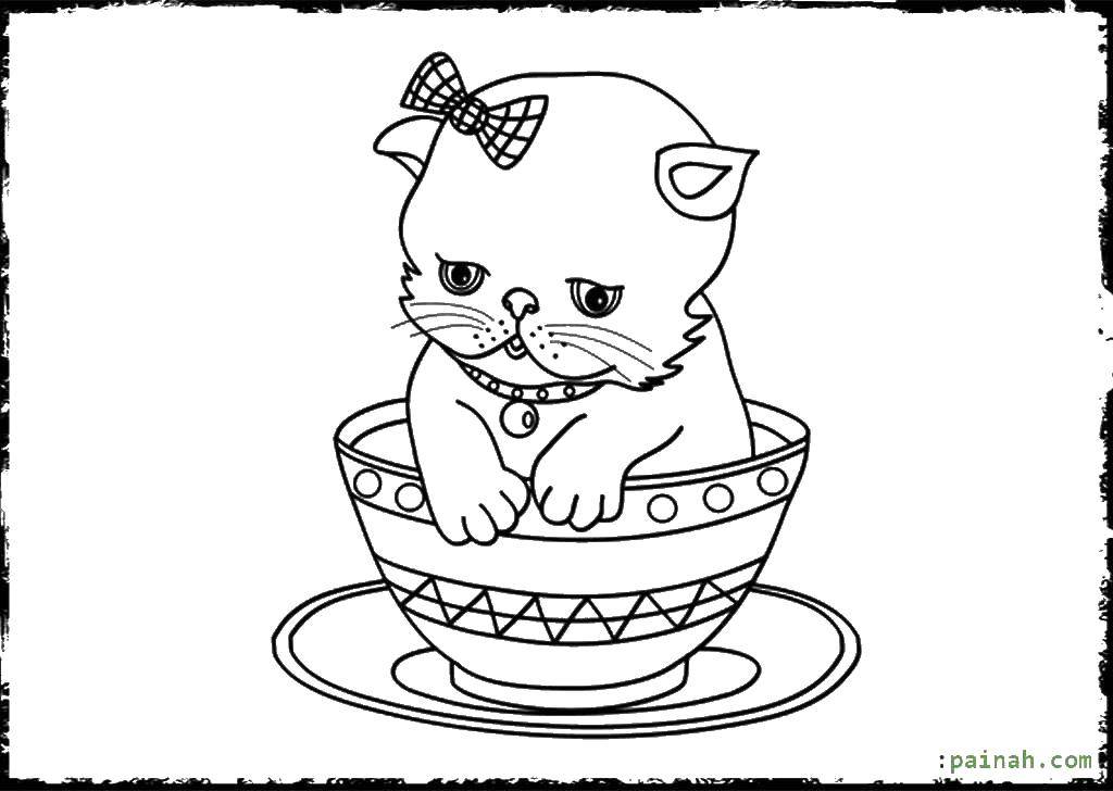 Раскраска котят и котенка в чашке (котята, котенок)