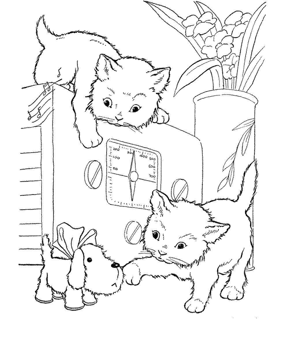 Раскраска котят и щенков для детей (котята, щенки)