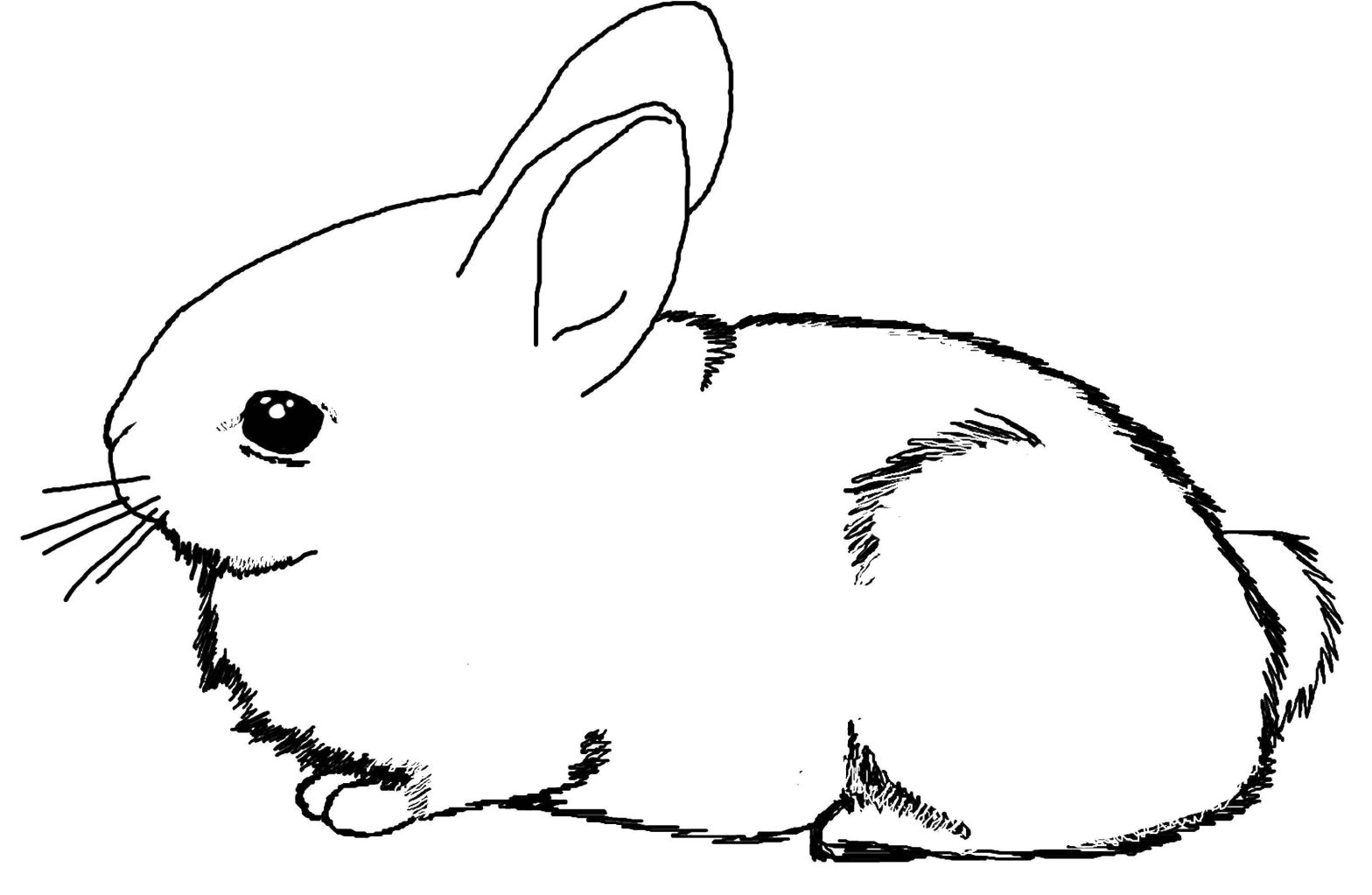 Раскраска Животные с кроликом и зайцем для детей (кролик, заяц)
