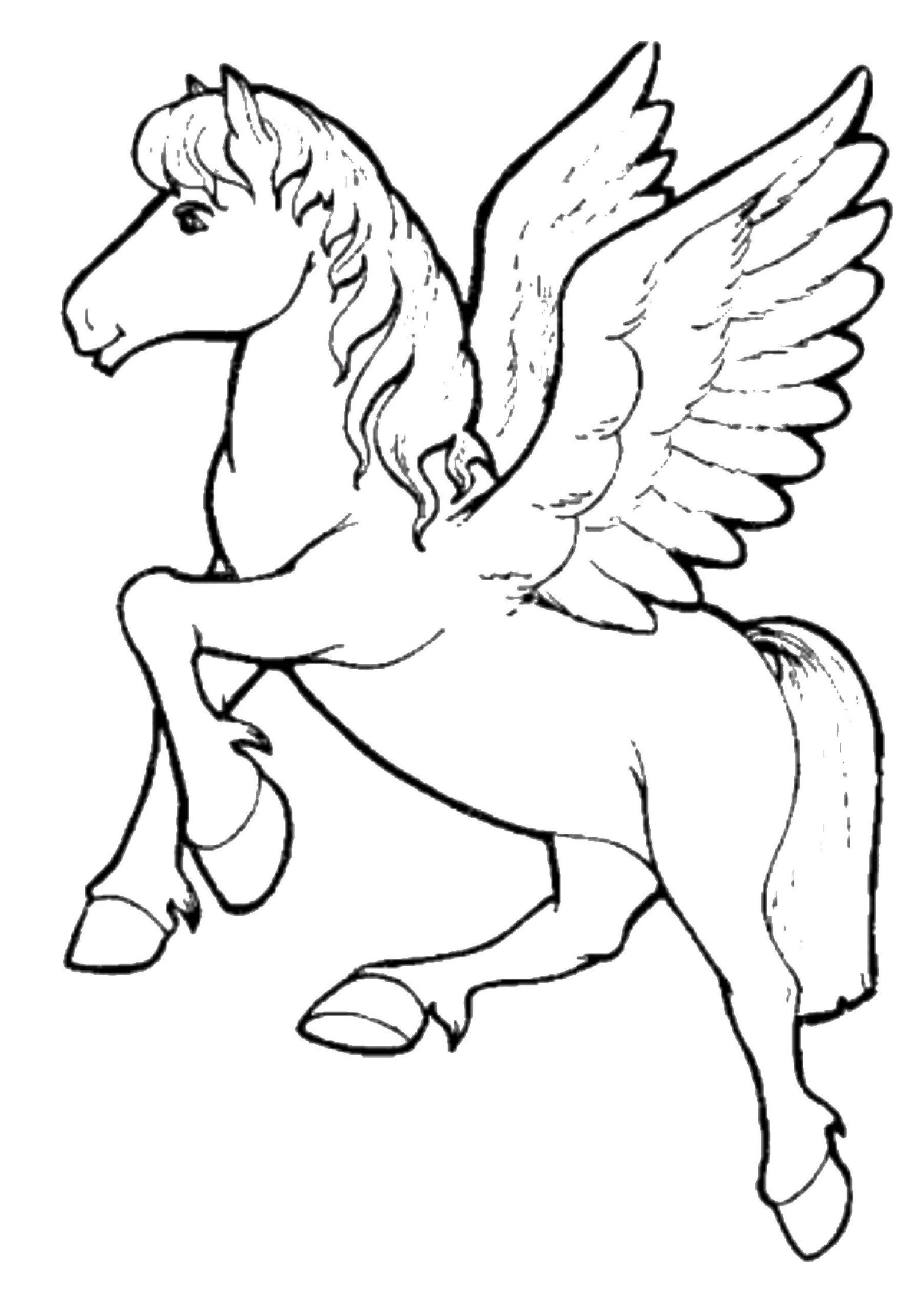 Раскраска пони с яркими крыльями (пони, конь, крылья)