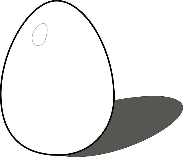Раскраска Яйца Яйцо: пасхальное яйцо с цветами (яйца)