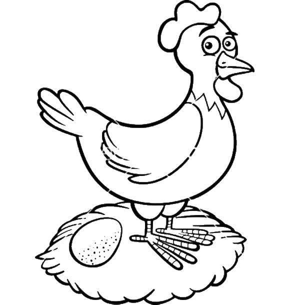 Контуры для раскраски птиц - курица, яйцо, гнездо (курица, гнездо)
