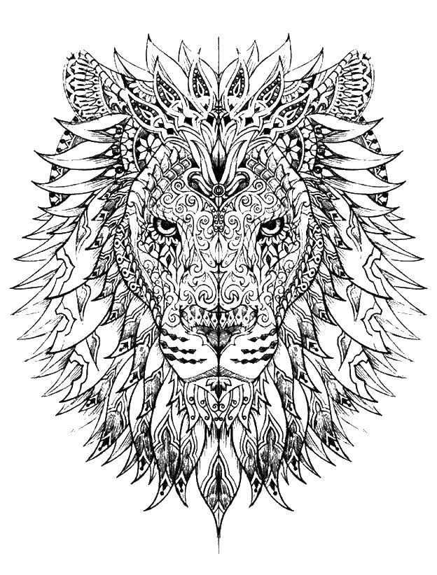 Раскраски антистресс с львами для расслабления и развития творческого мышления (антистресс)