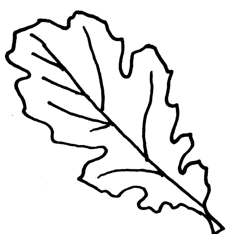 Раскраска с изображением листьев для детей