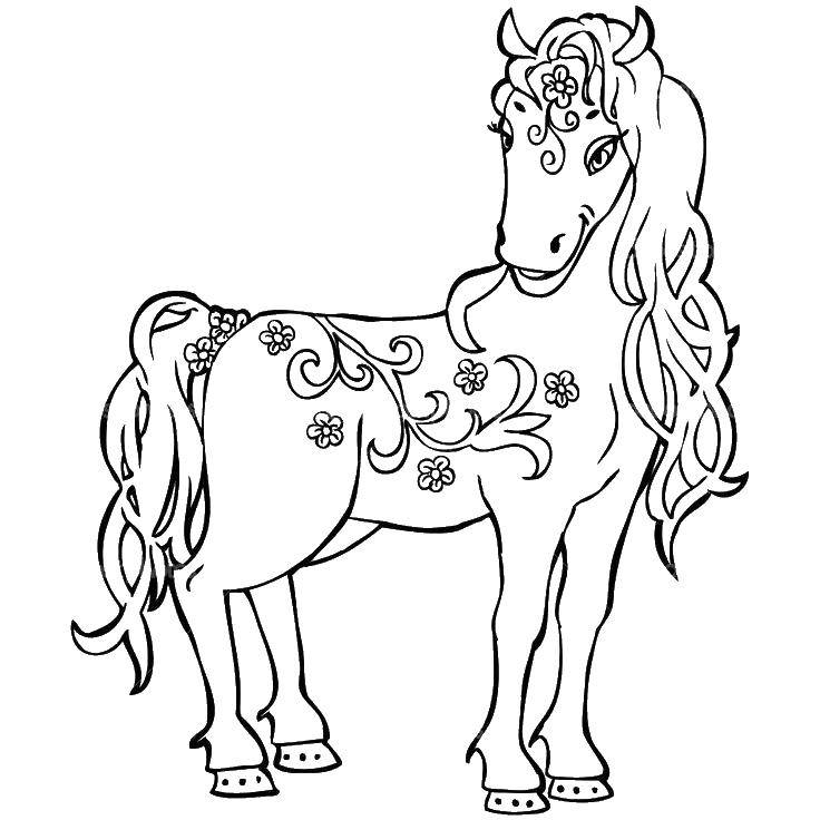 Раскраска лошади и узоры для раскрашивания - бесплатные раскраски для детей (узоры)