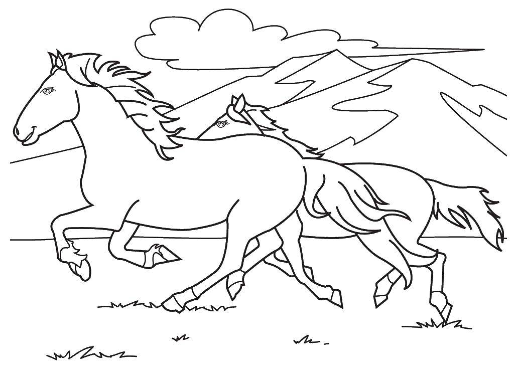 Раскраска лошади и жеребенка для детей (лошади, жеребенок)